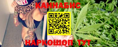 крисы Донской