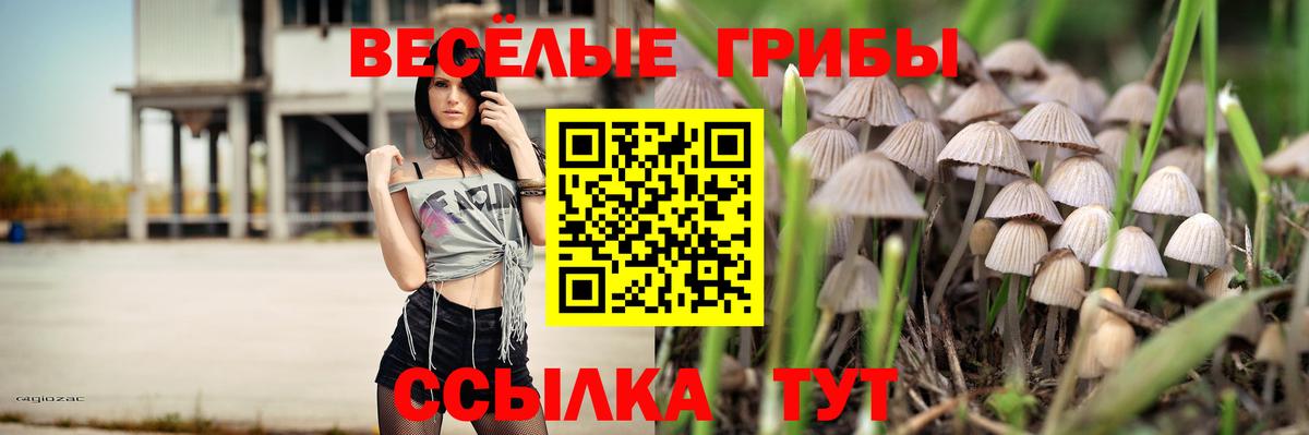 Галлюциногенные грибы Cubensis Братск
