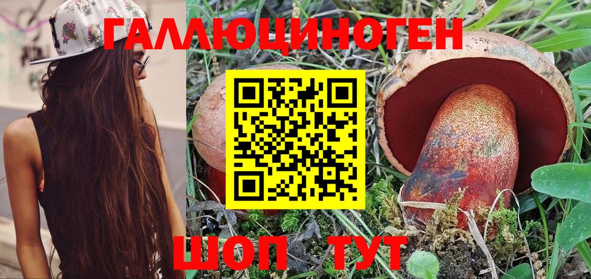 Псилоцибиновые грибы GOLDEN TEACHER  Вход с VPN  Братск  Псилоцибиновые грибы Psilocybine cubensis 