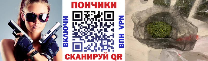 Бошки Шишки ГИДРОПОН  Братск 